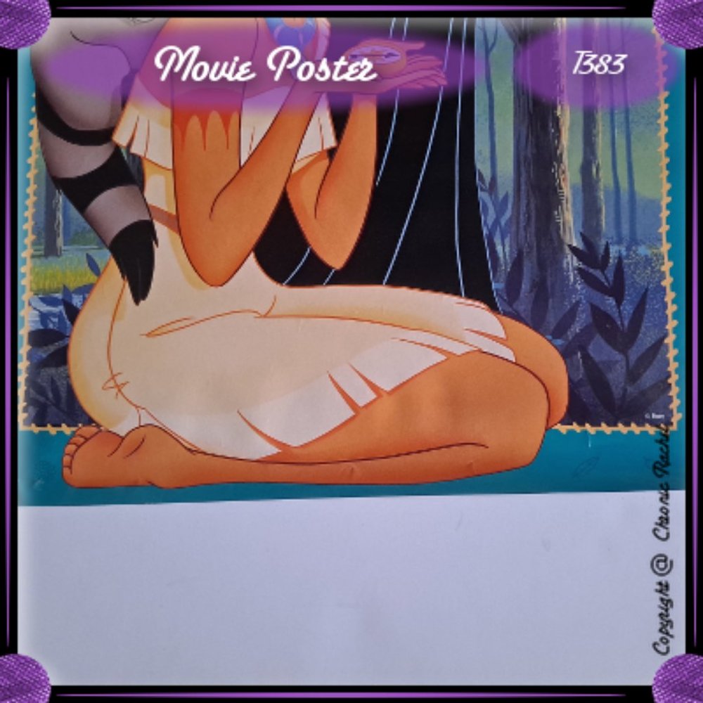 Pocahontas Vintage 1990's Movie Poster - Rolled Up - Picture 5 of 12